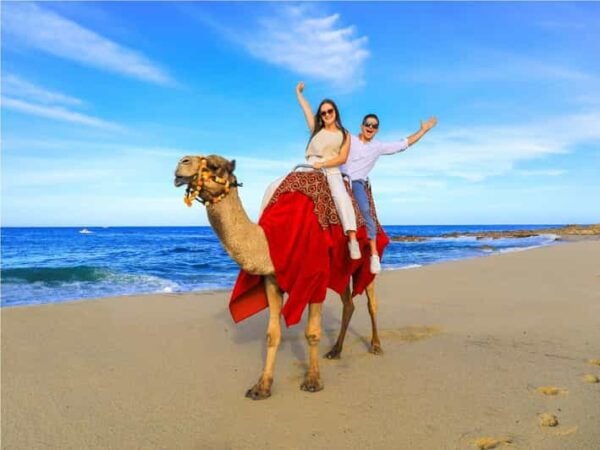 Beach UTV & Camel Ride COMBO in Cabo by Cactus Tours Park - Booking and Cancellation