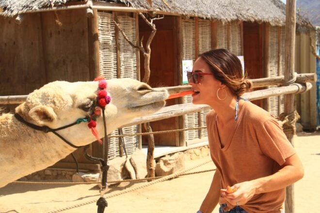 Beach UTV & Camel Ride COMBO in Cabo by Cactus Tours Park - Highlights and Experience