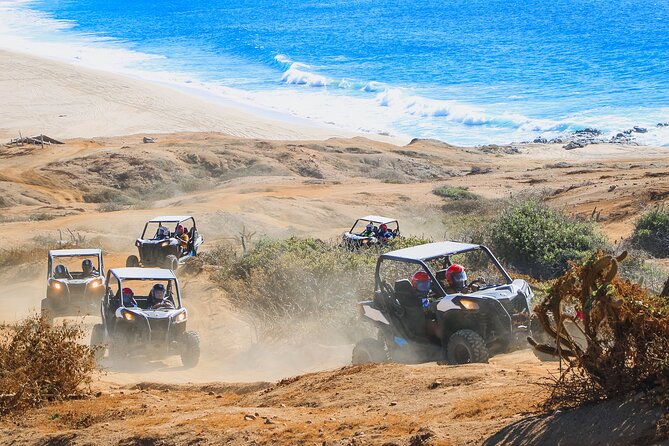 Beach UTV & Camel Ride COMBO in Cabo by Cactus Tours Park - Tour Overview