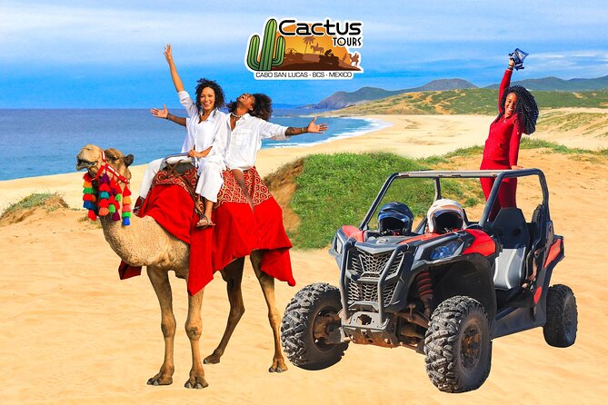 Beach UTV & Camel Ride COMBO in Cabo by Cactus Tours Park - Copyright and Terms