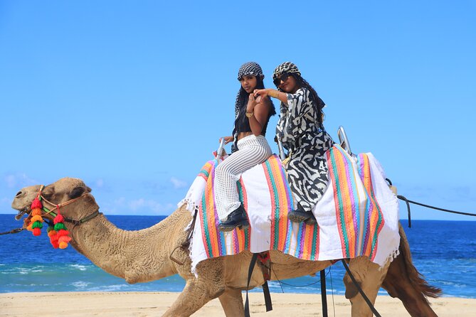 Beach UTV & Camel Ride COMBO in Cabo by Cactus Tours Park - Common Questions