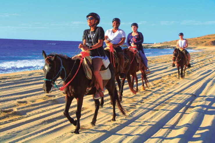 Beach UTV & Horseback Riding COMBO in Cabo by Cactus Tours - Good To Know