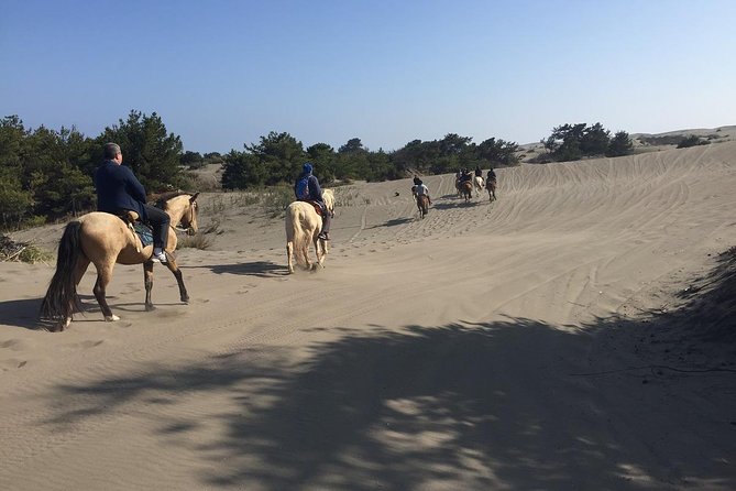 Beachfront Horseback Excursion With Barbecue Lunch (Feb ) - Experience Details