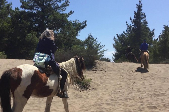Beachfront Horseback Excursion With Barbecue Lunch (Feb ) - Customer Feedback