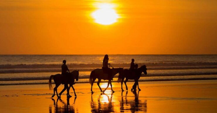 Beachside Horseback Ride: 90 Minutes of Sunset Delight - Activity Details