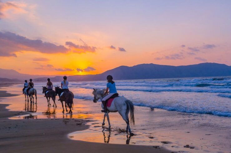 Beachside Horseback Ride: 90 Minutes of Sunset Delight - Booking Information