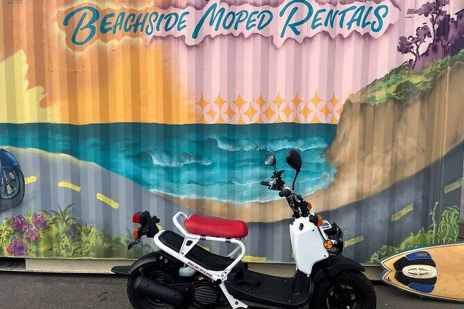 Beachside Moped Rentals - Discovering the Beachside Moped Rental Experience in Carlsbad