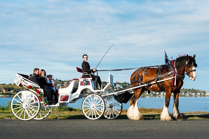 Beacon Hill Park Horse-Drawn Carriage Tour of Victoria - Overview and Location