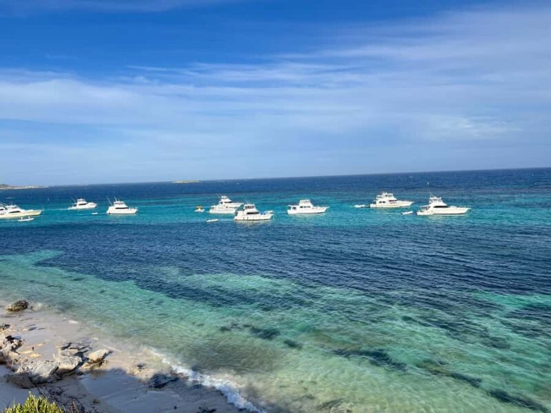 Beacons and Bays: The Lighthouse Rickshaw Tour & Audio Guide - Who Will Love This Tour?