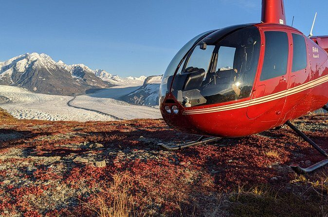 Bear Glacier Helicopter Tour with Landing - Why This Tour Might Be Perfect for You