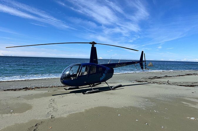 Bear Glacier Helicopter Tour with Landing - FAQs