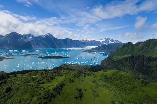 Bear Glacier Scenic Flight - The Sum Up