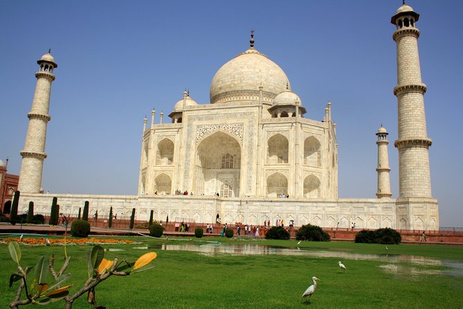 Bear Rescue Center and Wonderful Taj Mahal - Whats Included