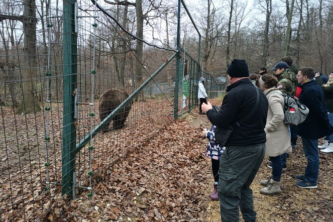 Bear Sanctuary and Bran Castle From Brasov - Tour Highlights