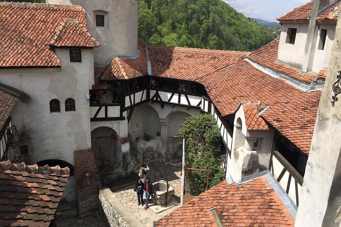 Bear Sanctuary and Bran Castle From Brasov - Booking Information