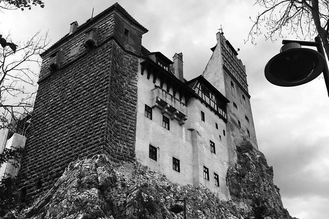 Bear Sanctuary and Bran Castle From Brasov - Traveler Reviews