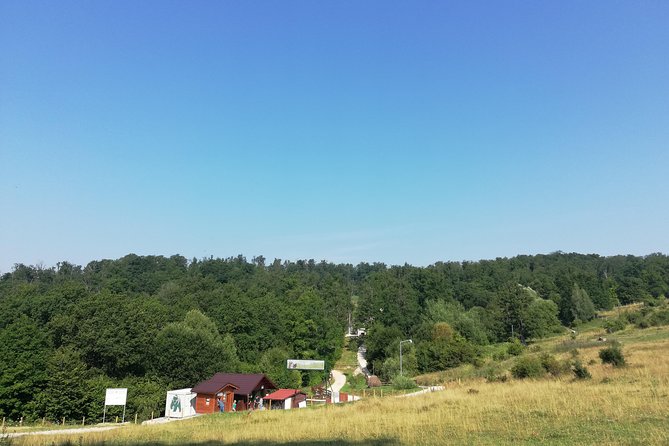 Bear Sanctuary and Draculas Castle, 1-day Private Tour - Customer Reviews