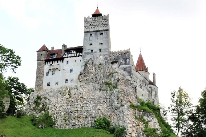 Bear Sanctuary and Draculas Castle, 1-day Private Tour - Frequently Asked Questions
