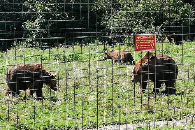 Bear Sanctuary and Draculas Castle, 1-day Private Tour - The Sum Up