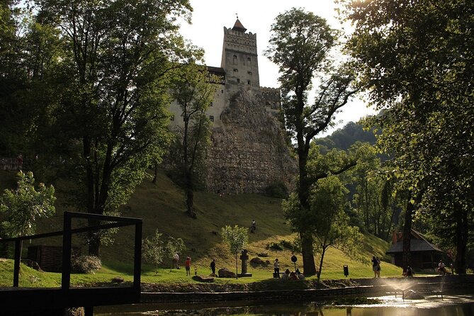 Bear Sanctuary, Bran Castle & Rasnov Fortress - Tour From Brasov - Tour Logistics