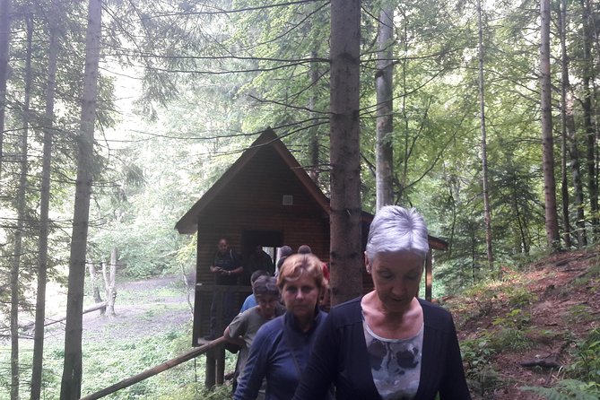 Bear Watching in the Wild From Brasov - Customer Reviews and Testimonials