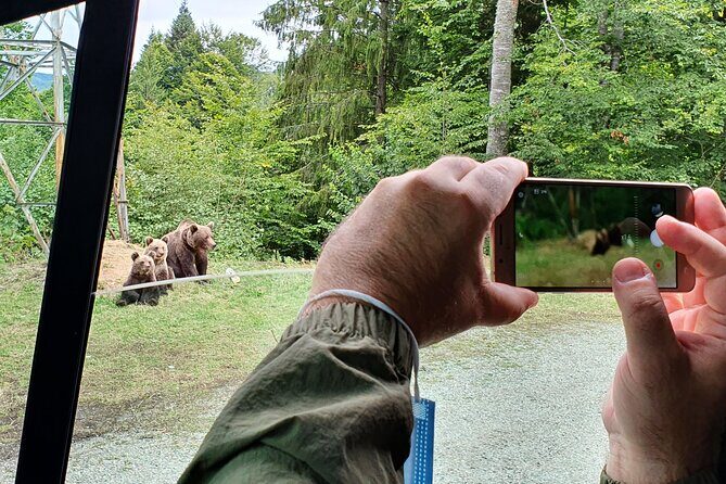 Bears and Dracula Private Full-Day Tour from Bucharest - Exploring Romania’s Top Highlights