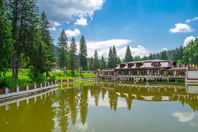 Bears Sanctuary, Dracula Castle and Poiana Brasov-Private Day Tour From Brasov - Private Transportation Details