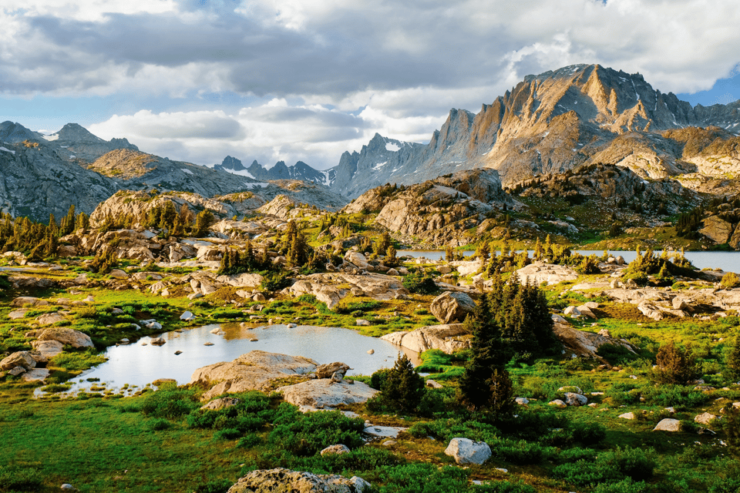 Beartooth Highway: Breathtaking Mountain Driving Tour - Tour Highlights and Stops