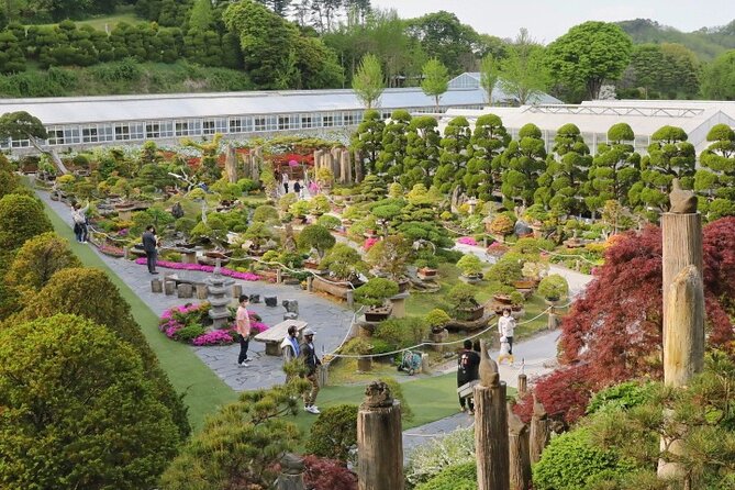 Beartree Park With Admission Ticket to Arboretum in Sejong - Park Overview