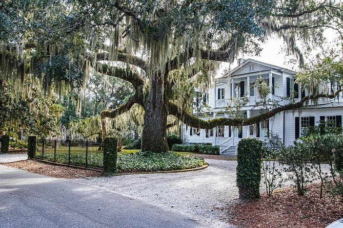 Beaufort City Minibus Tour - Reviews