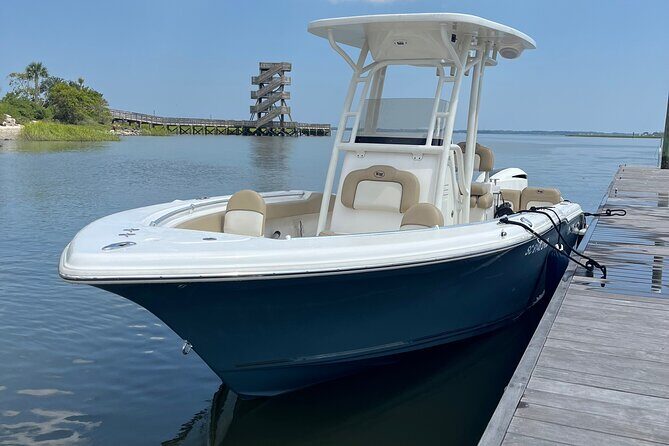 Beaufort Private Dolphin Excursions - Who’s This Tour Best For?