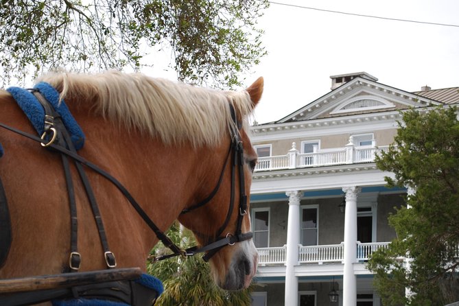 Beaufort Small-Group Historic Horse-Drawn Carriage Tour  - Hilton Head Island - Tour Overview