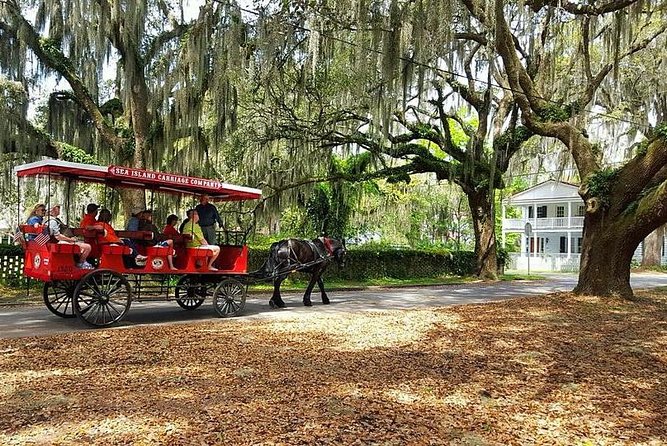 Beaufort's #1 Horse & Carriage History Tour - Traveler Photos and Reviews