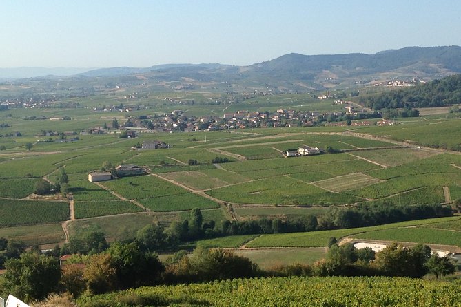 Beaujolais Crus Wines & Castles (2:00 Pm - 6:30 Pm) - Small Group Tour From Lyon - Tour Overview and Highlights