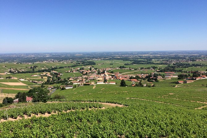 Beaujolais Crus Wines & Castles (9:00 Am - 1:30 Pm) - Small Group Tour From Lyon - Expert Guided Tour in English and French