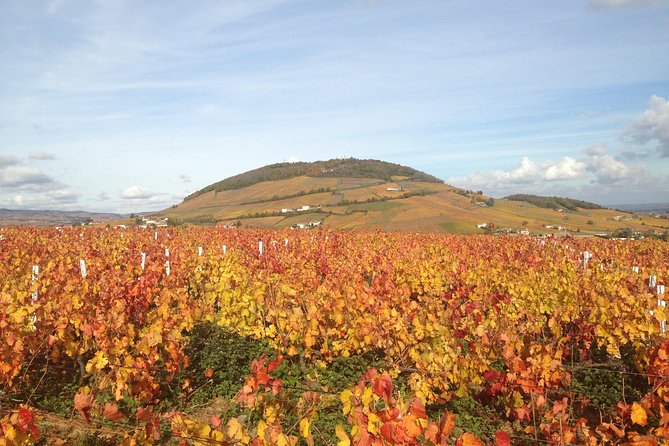Beaujolais Crus Wines & Castles (9:00 Am - 1:30 Pm) - Small Group Tour From Lyon - Meeting and Pickup Information