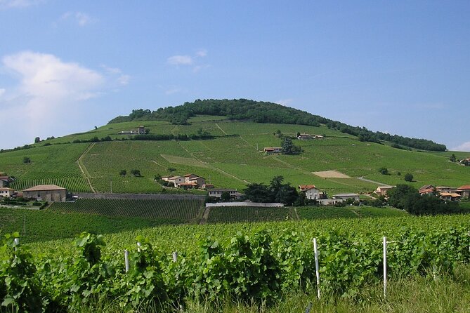 Beaujolais Half Day Wine Tasting Tour - Reviews