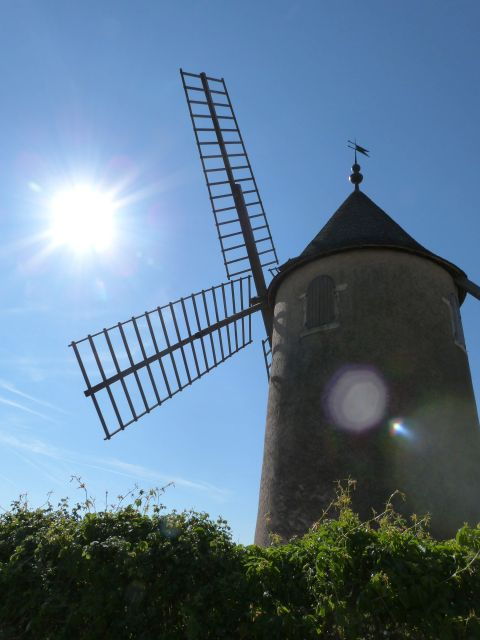 Beaujolais: Half-Day Wine Tour - Tour Experience