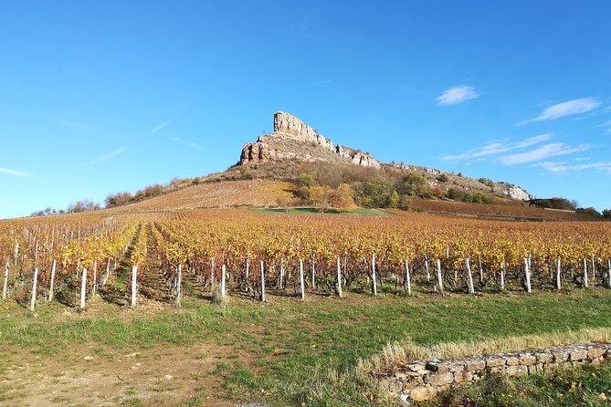 Beaujolais & Mâconnais : Private Full Day - Tour Pricing and Booking