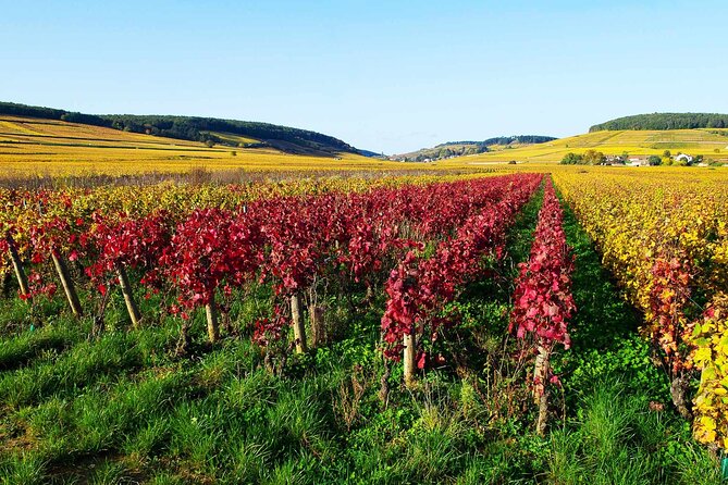 Beaujolais & Mâconnais : Private Full Day - Tour Details and Itinerary
