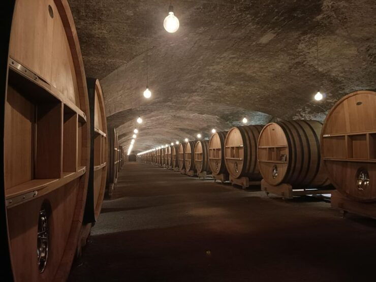 Beaujolais - Pérouges : Full Day Shared Trip - Experience the Beaujolais Region