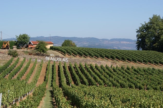 Beaujolais & Perouges Medieval Town (9:00 Am to 5:15 Pm - Small Group Tour Lyon - Meeting and Pickup