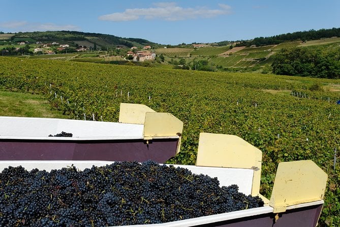 Beaujolais & Perouges Medieval Town (9:00 Am to 5:15 Pm - Small Group Tour Lyon - Common Questions