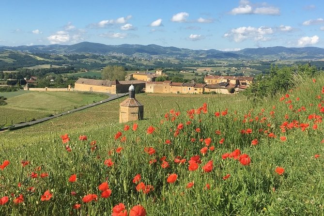 Beaujolais & Perouges Medieval Town - Private Tour - Full Day From Lyon - Itinerary Highlights