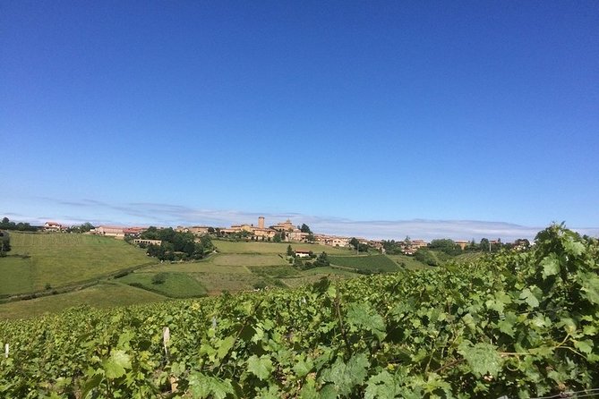 Beaujolais & Perouges Medieval Town - Private Tour - Full Day From Lyon - Guided Tours and Expert Commentary