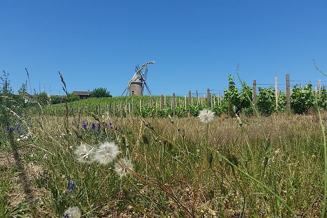 Beaujolais Region Wine Tasting Private Day Tour From Lyon - Common Questions