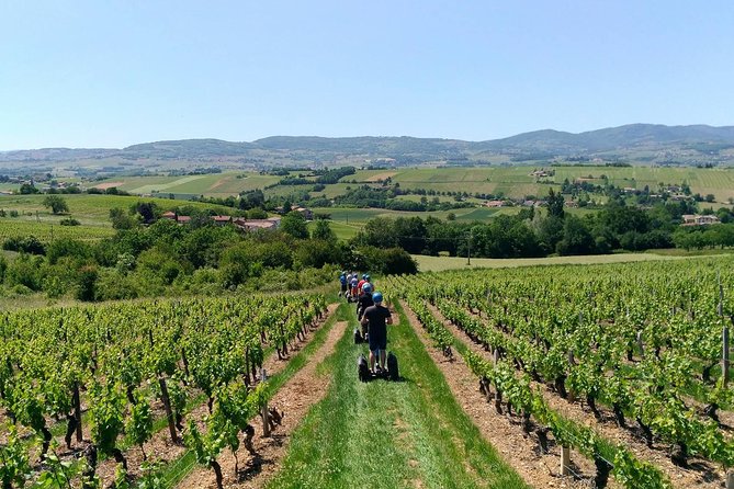 Beaujolais Segway Tour With Wine Tasting - Wine Tasting Experience