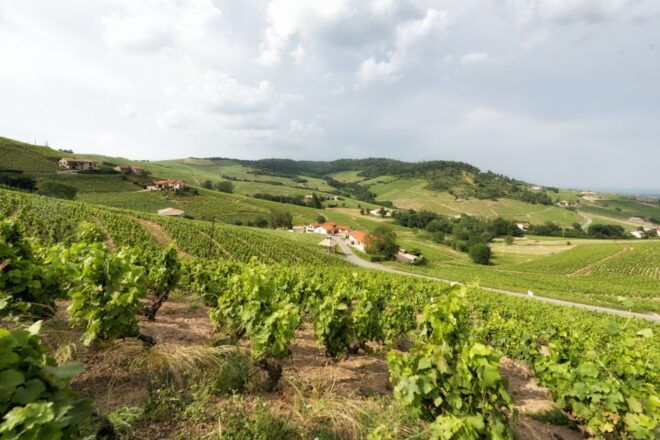 Beaujolais: Segway Tour With Wine Tasting - Duration of the Activity