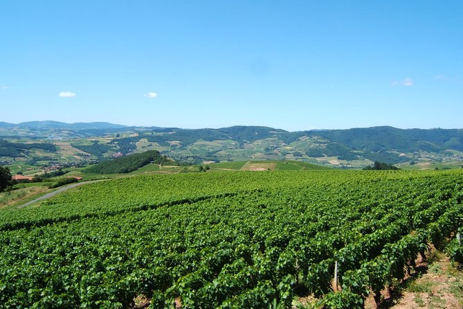 Beaujolais Wine Discovery - Half Day - Small Group Tour From Lyon - Meeting and Pickup