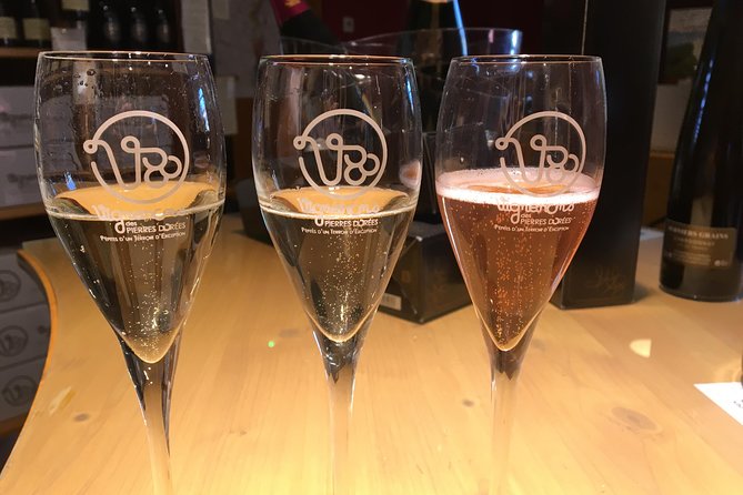 Beaujolais Wine Discovery - Half Day - Small Group Tour From Lyon - Reviews